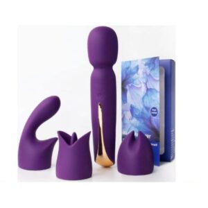 4-in-1-vibrator-wand-kit-women-sex-toys